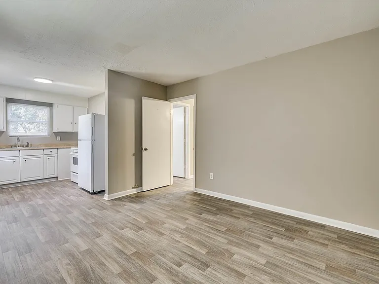 Open Concept Living and Kitchen Space