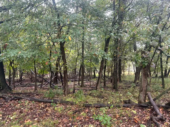 Blue Grouse Ln, Afton, OK 74331