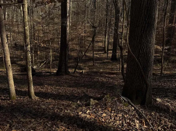 3 Oakmont Dr Unit 3, Alabaster, AL 35007