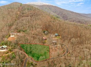 Lexy Ln, Sevierville, TN 37862