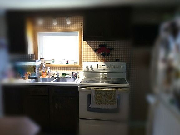 Sweet window over the sink