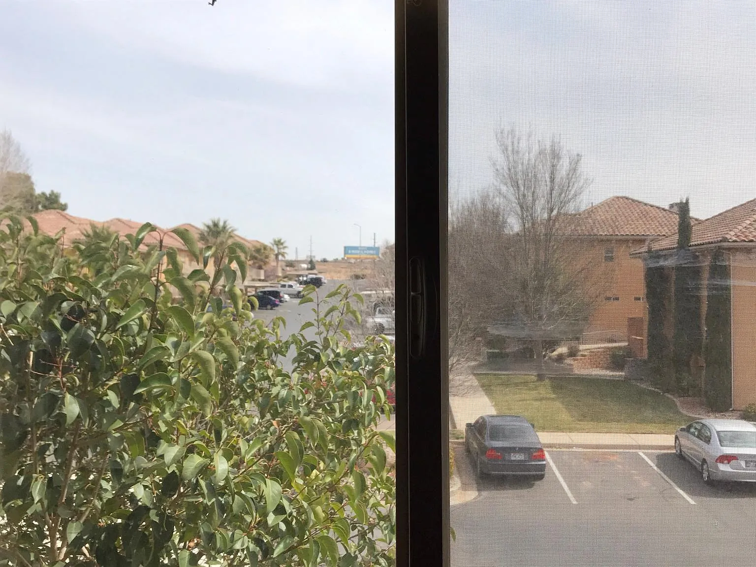 3 bed, 1139 sqft, $1,550 — Photo 3