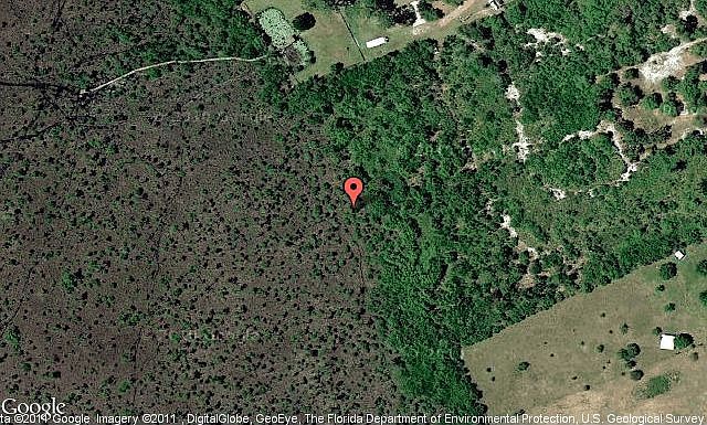 Map View