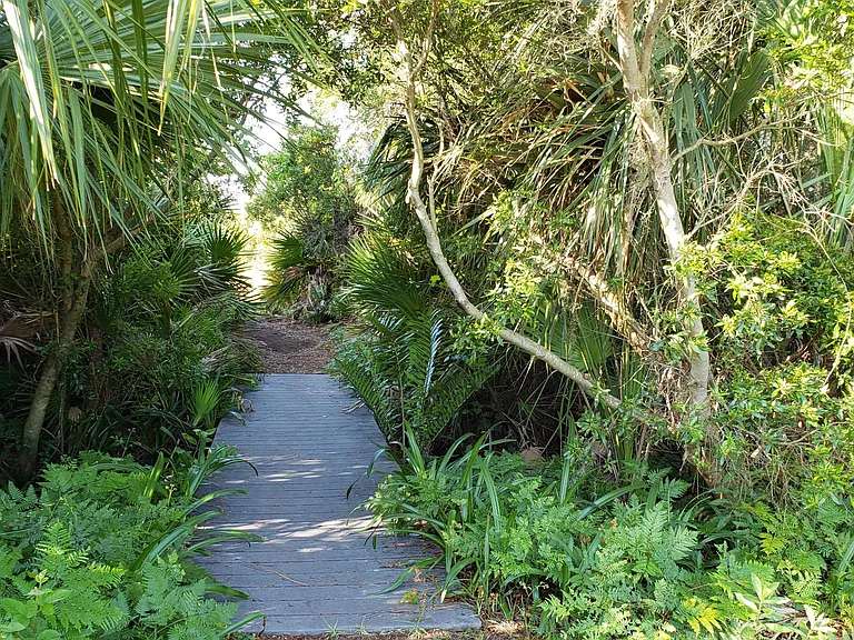 Lemon Ave — Photo 14