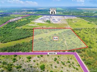 Township Road 2 Nikki Rd, Rio Grande City, TX 78582