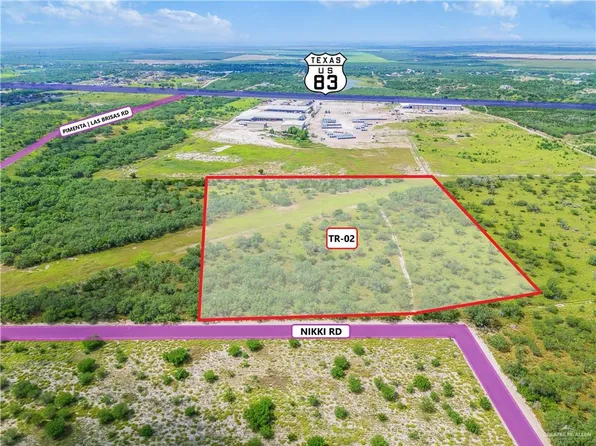 Township Road 2 Nikki Rd, Rio Grande City, TX 78582