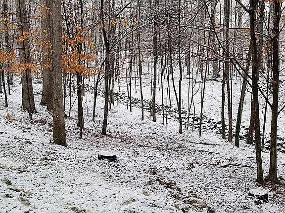 3rd image of 7505 Cannon Fort Dr