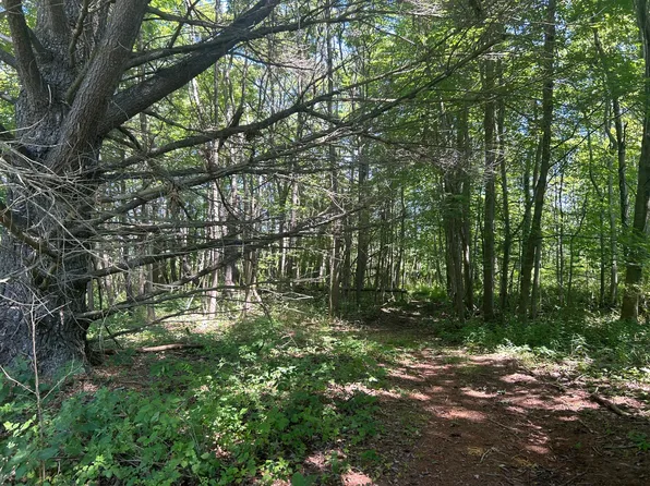 0 Drew Ln, South Haven, MI 49090