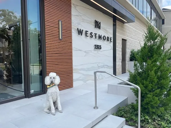 2323 W Main St #503, Houston, TX 77098