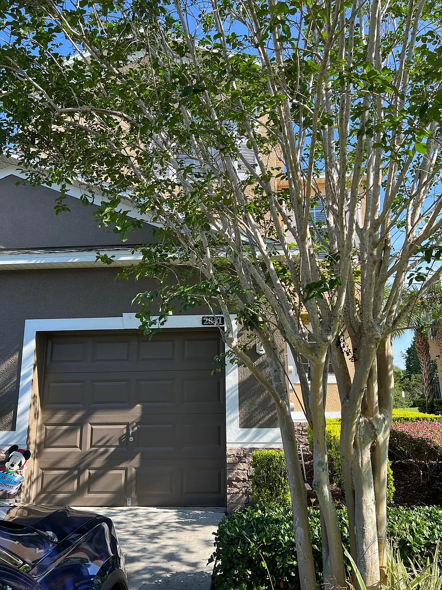 Building Photo - 2841 Adelaide Ct