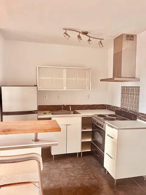 Studio, 450 sqft, $900 — Photo 4