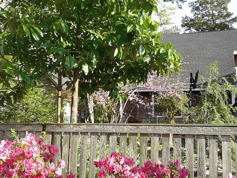 720 Carolina Ave — Photo 2