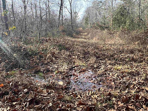 5th image of 807 Golden Pond Ln
