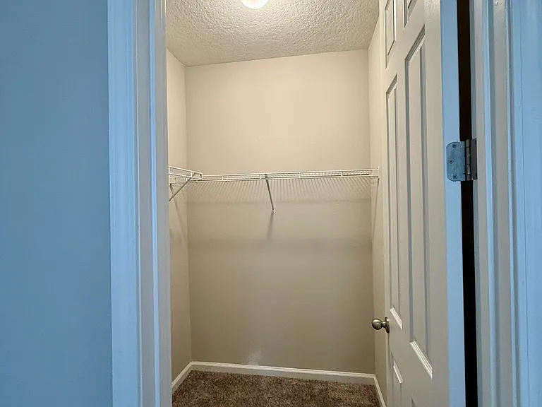 5162 Sawmill Point Way — Photo 16