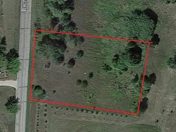 Birchwood Estates Rd, Fergus Falls, MN 56537