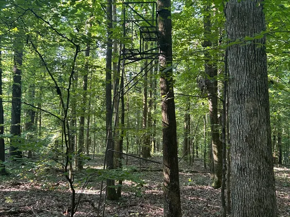 Avant Rd, Crenshaw, MS 38621