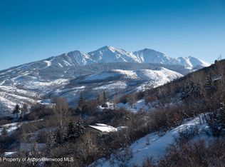 54 Red Tail Ln, Aspen, CO 81611