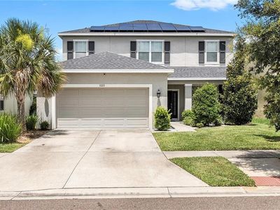 7223 Blue Beech Dr, Riverview, FL, 33578