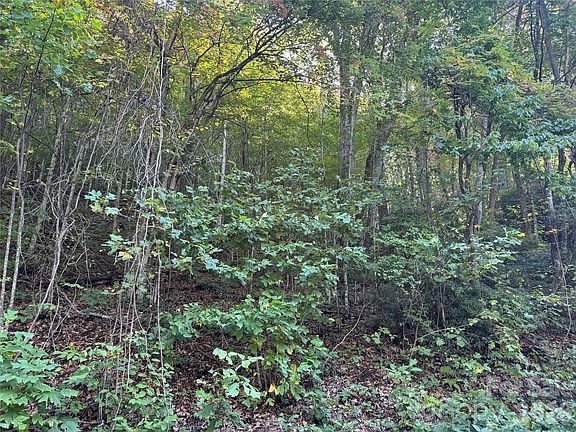 2nd image of Tbd Red Oak Forest Rd