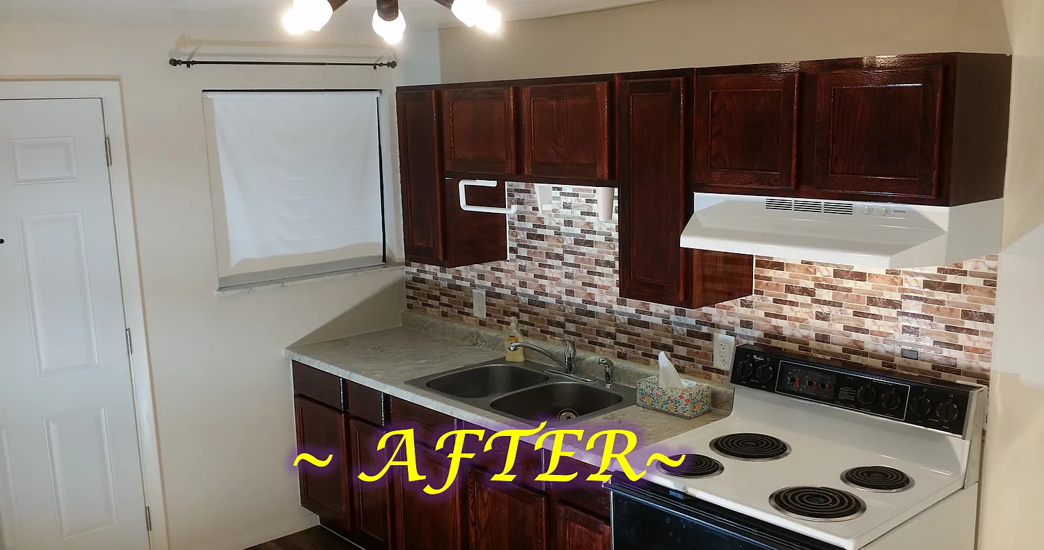 1 bed, 600 sqft, $900 — Photo 2