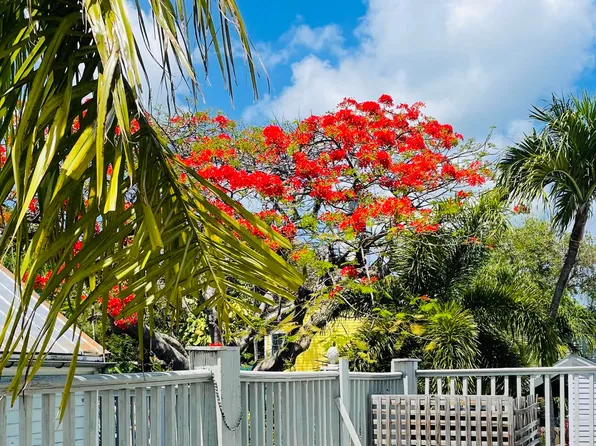 927 Thomas St Unit 4, Key West, FL 33040