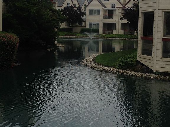 5th image of 1402 Chelsea Way #60