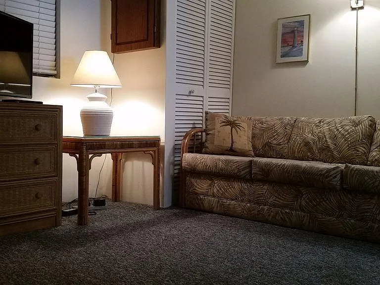 Den - w/pullout queen sleeper sofa