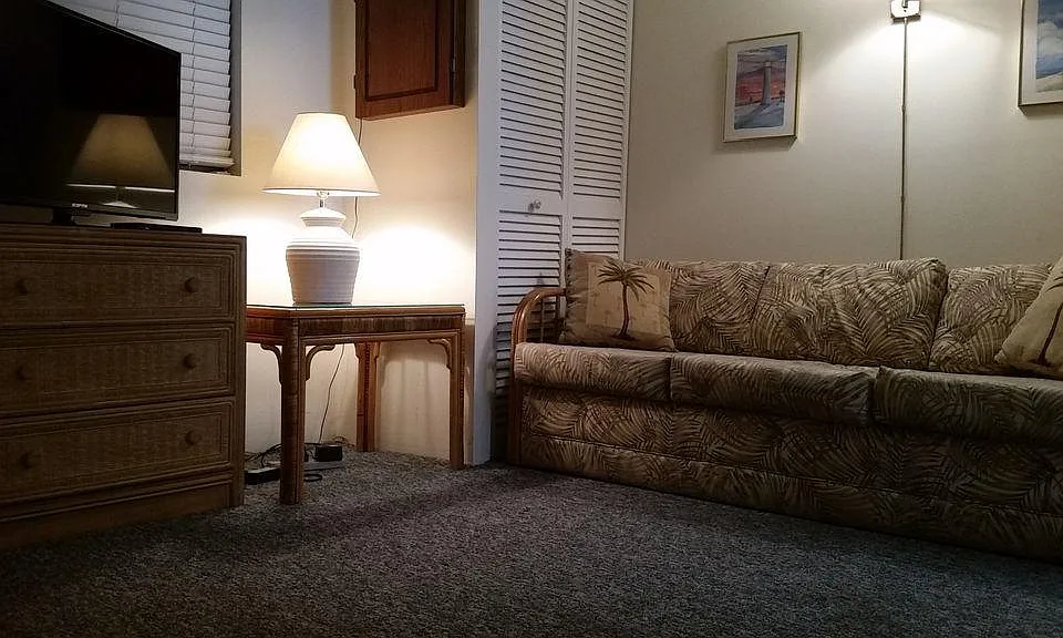 Den - w/pullout queen sleeper sofa