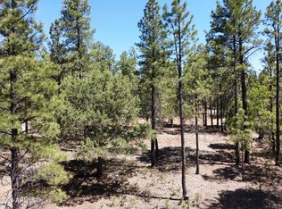 4450 BLACKFOOT Circle #415, Happy Jack, AZ 86024