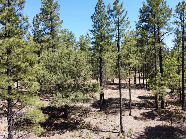 4450 BLACKFOOT Circle #415, Happy Jack, AZ 86024