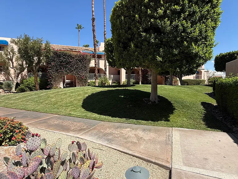 500 E Amado Rd #110 — Photo 17