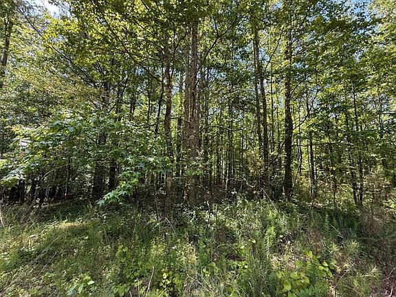 5th image of 467 N Raburn Rd #9