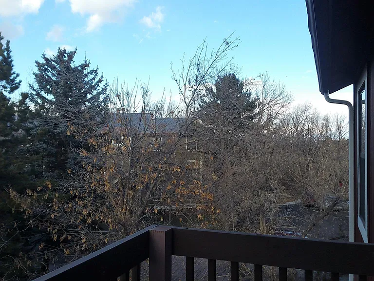2902 Shadow Creek Dr #305 — Photo 14