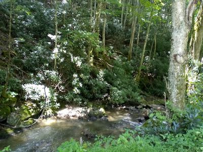 Old Forge Cr Rd, Mountain city, TN, 37683