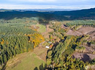 807 Allender Rd, Ryderwood, WA 98581