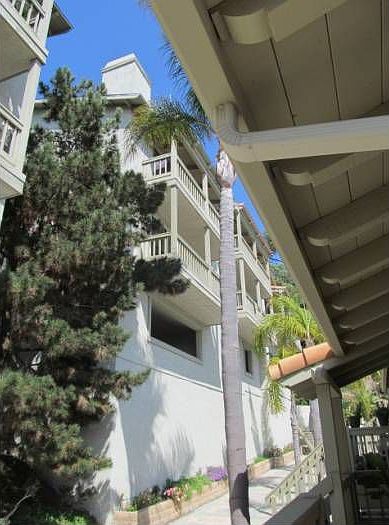 Nestled in the Trees..