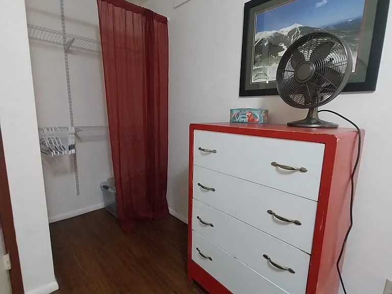 Second bedroom closet and dresser