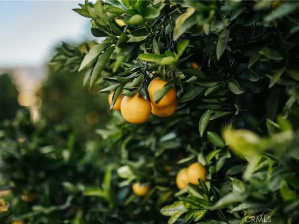 31252 Citrus Ave Lot 5, Redlands, CA 92374