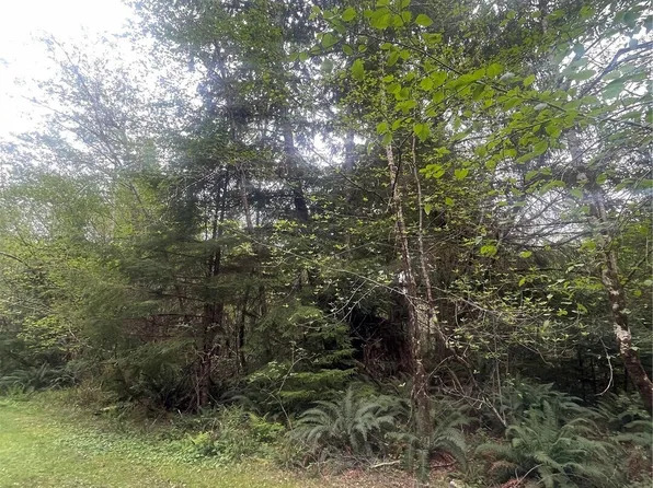 0 Lot 42 Bay Lane, South Bend, WA 98586