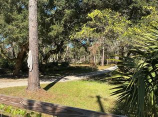 2130 E Kicklighter Rd LOT 4, Lake Helen, FL 32744