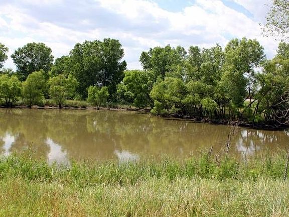 Pond across back Acreage.