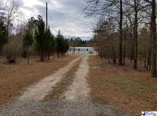 2118 Grants Mill Rd W, Wallace, SC 29596