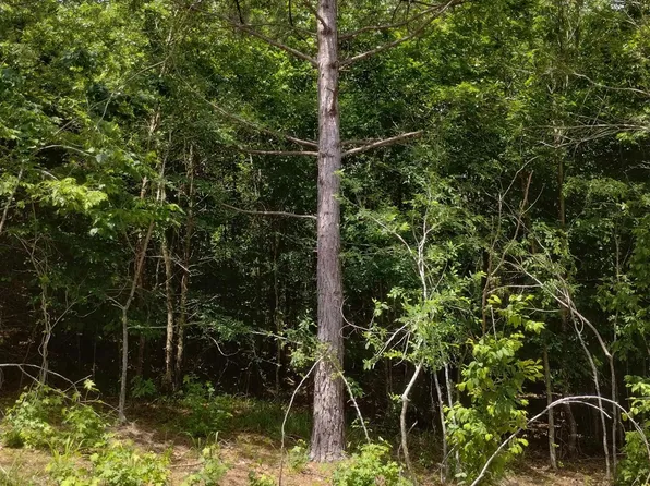 (undisclosed Address), Glenwood, AR 71943