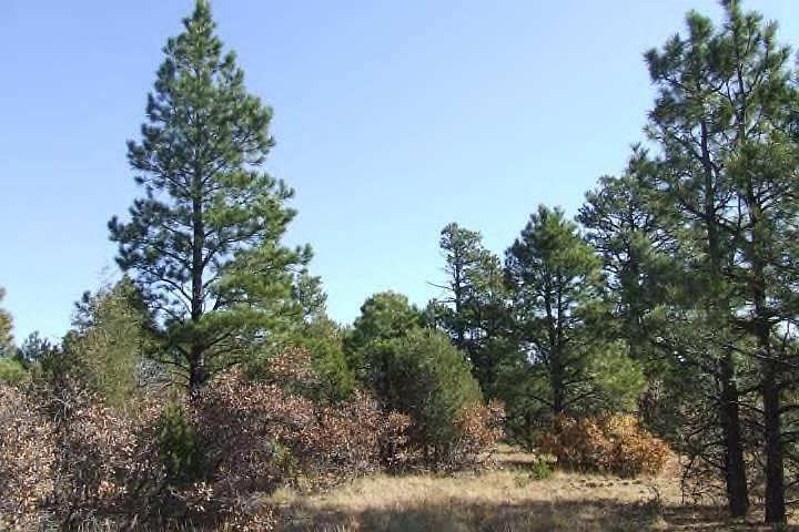 1st image of 35 Acres On Lowr Mine