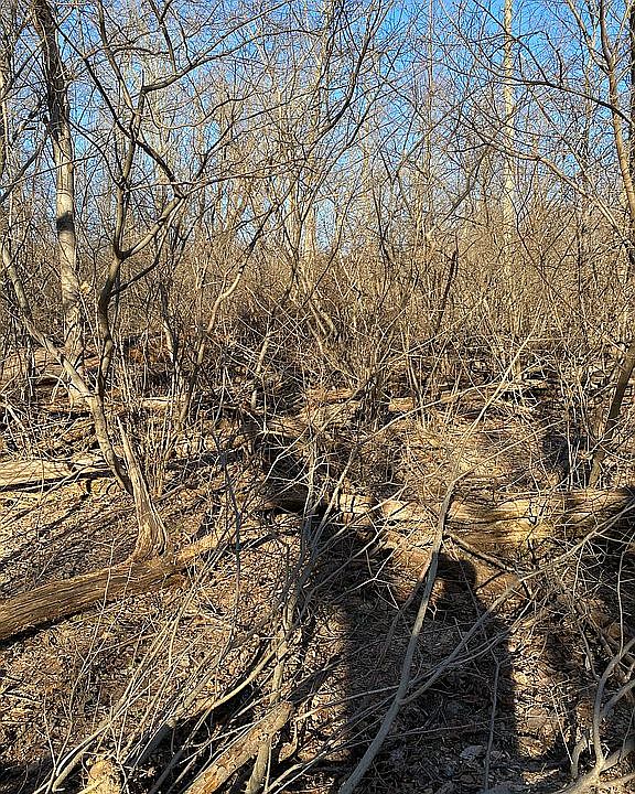 2nd image of 469 Delaware Rd