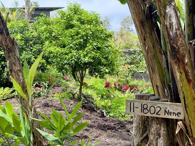 11-1802 Nene St, Mountain View, HI, 96771