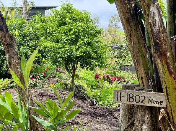 11-1802 Nene St Lot 28, Mountain View, HI 96771