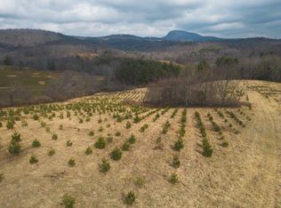 Long Mountain Rd, Willis, VA 24380