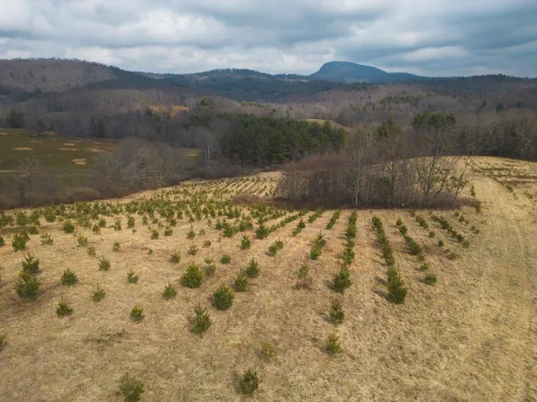 Long Mountain Rd, Willis, VA 24380