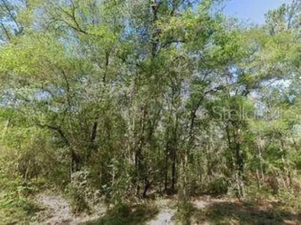 491 E Nemo Dr Lot 11, Dunnellon, FL 34434